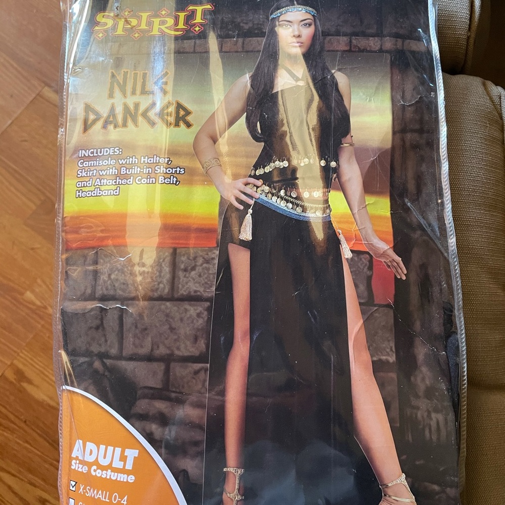 Nile dancer Halloween costume